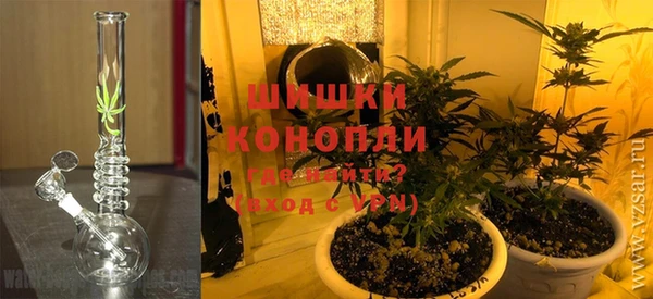 ECSTASY Белокуриха