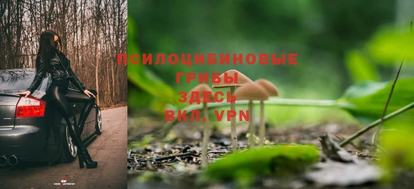 ALPHA PVP Беломорск
