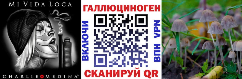 Галлюциногенные грибы MAGIC MUSHROOMS  Купить  Новопавловск 